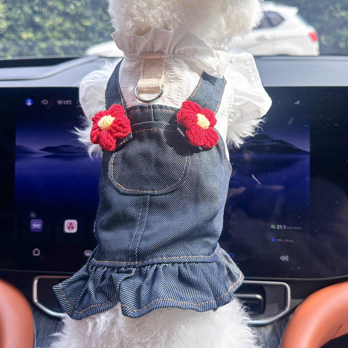 Dog in honey bear denim skirt — playful pet summer outfit | Pawnests
