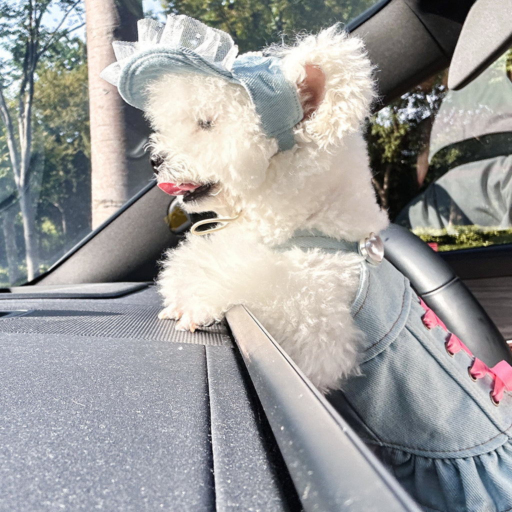 Pet denim skirt nebula design on small dog — stylish summer outfit | Pawnests