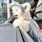 Pet denim skirt nebula design on small dog — stylish summer outfit | Pawnests
