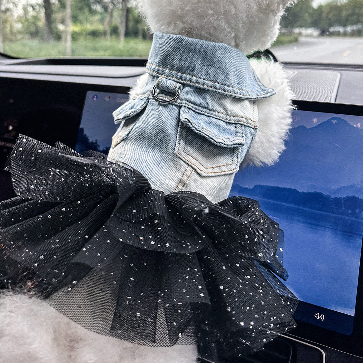 Small dog in denim skirt running outdoors — comfortable summer pet wear | Pawnests