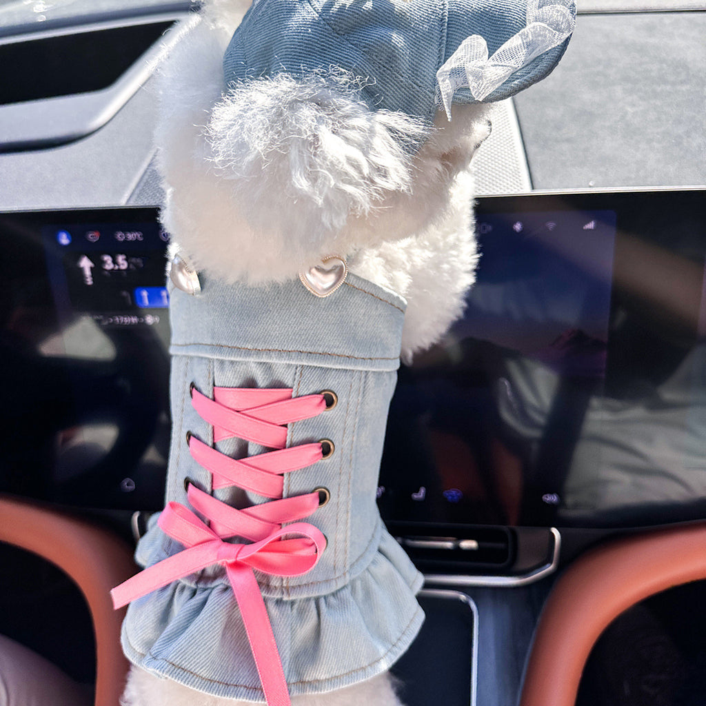 Small dog wearing pearl design denim skirt — cute pet dress | Pawnests