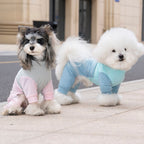 Pet mesh suit in blue on small dog — lightweight sporty summer wear | Pawnests