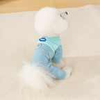 Grey breathable mesh four-leg suit on dog — full body coverage | Pawnests