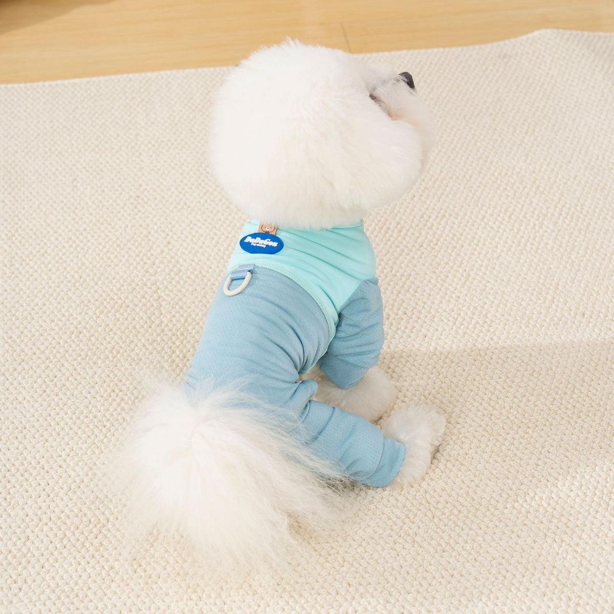 Grey breathable mesh four-leg suit on dog — full body coverage | Pawnests