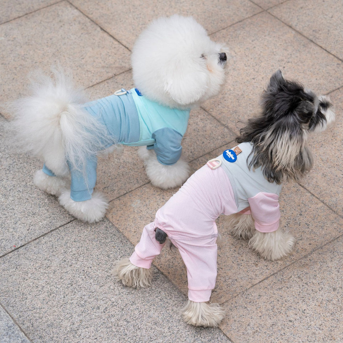 Dog wearing pink breathable mesh four-leg suit — summer pet outfit | Pawnests
