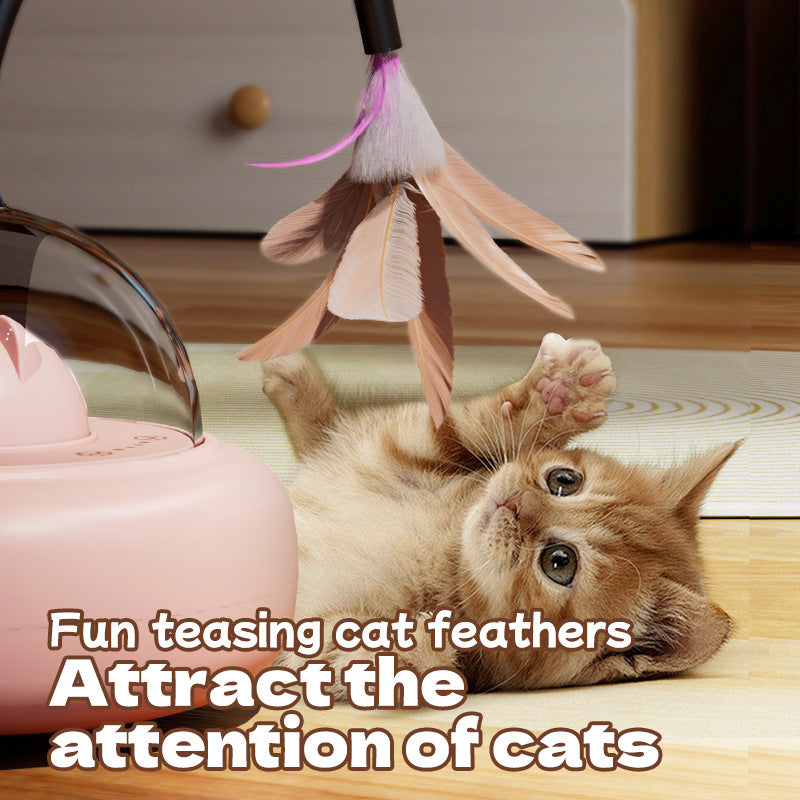 Cat playing with automatic feather laser toy | Pawnests