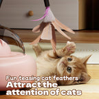 Cat playing with automatic feather laser toy | Pawnests
