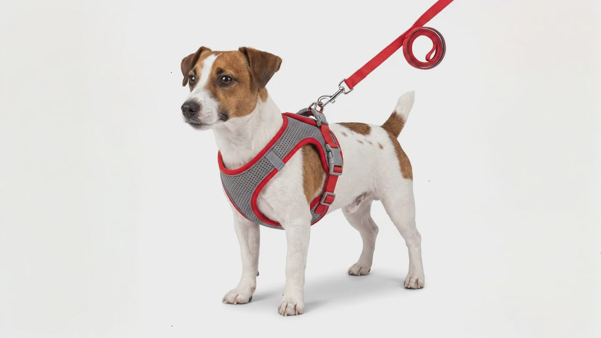 Dog Harness & Leash Set | Reflective Nylon Walking Set for Dogs & Cats