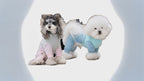 Pet Mesh Suit | Breathable 4-Leg Summer Outfit for Dogs & Cats