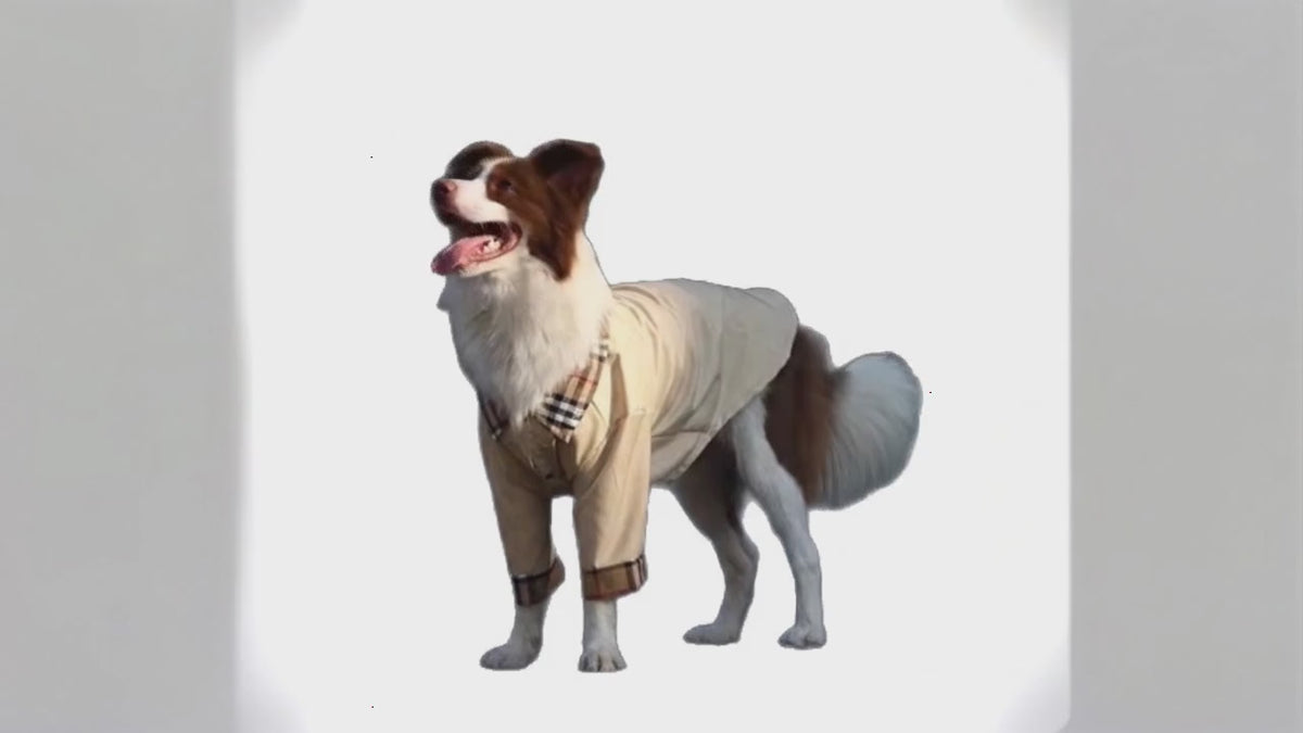 Large Dog Shirt | Breathable Anti-Shedding Tee for Big Dogs