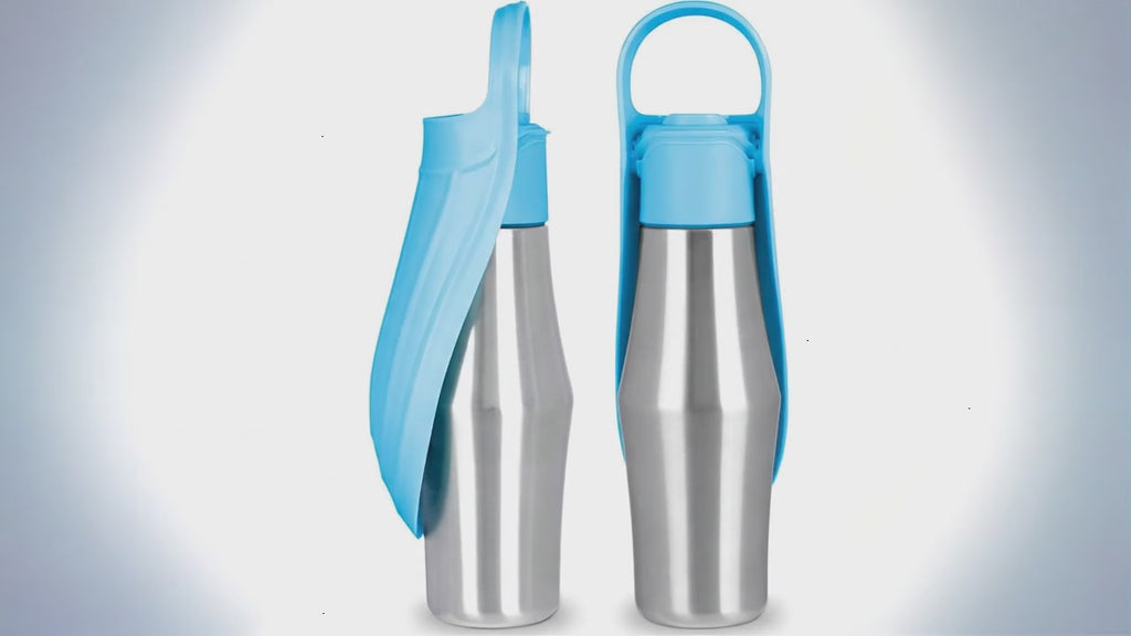 Dog Water Bottle | Insulated Stainless Steel Travel Bottle for Dogs & Cats