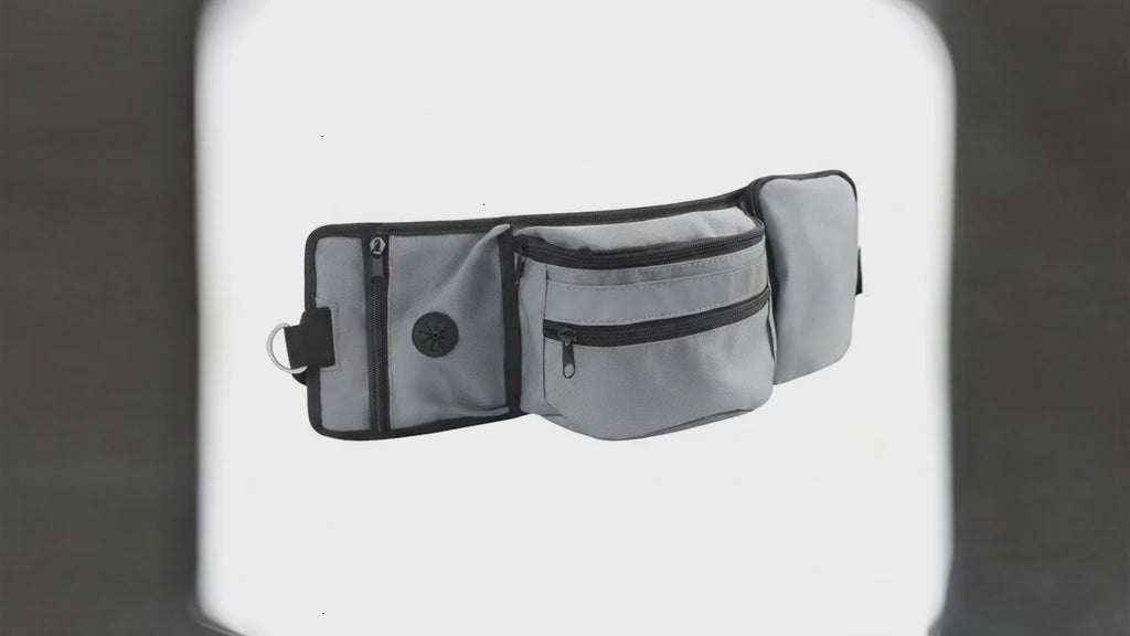 Reflective Outdoor Dog Training Waist Bag