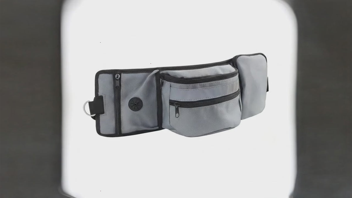 Reflective Outdoor Dog Training Waist Bag