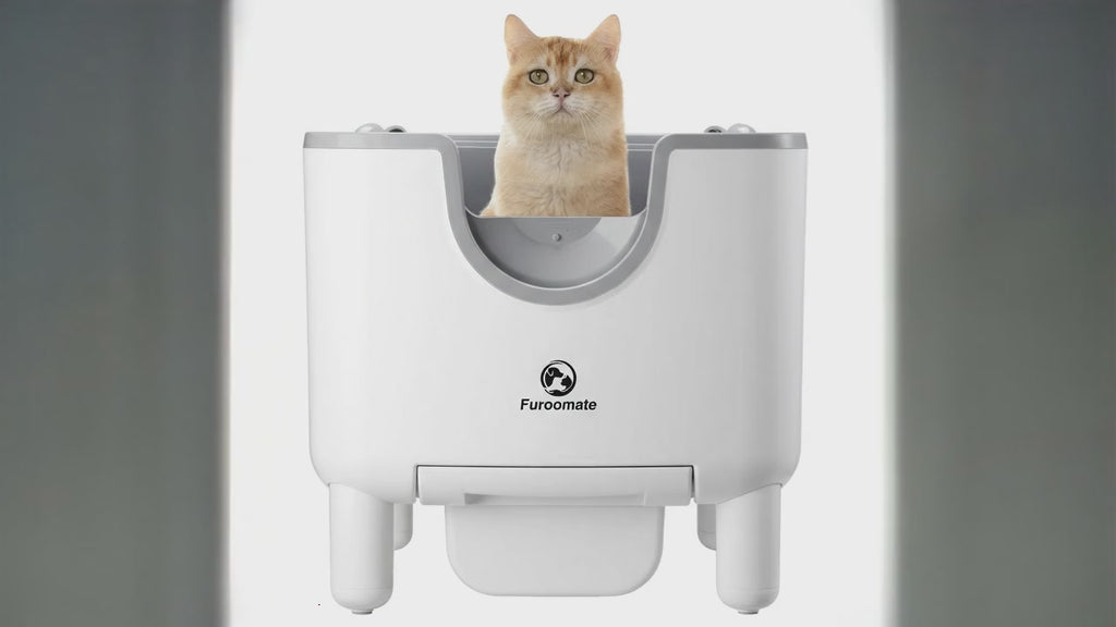 F6 Self-Cleaning Litter Box | Open-Top Automatic Odor Control