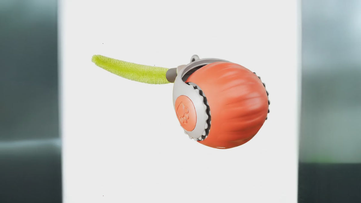 Automatic Cat Toy Ball | Self-Moving Silicone Play Ball
