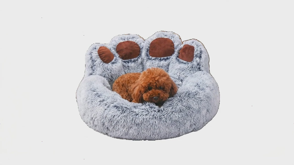 Sofá Cama Ortopédico Premium para Mascotas