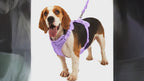 Dog Harness 4-Piece Set | Waterproof PVC Vest, Leash, Collar & Clip