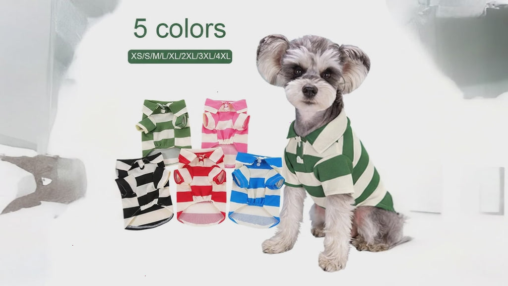 Casual Pet Polo Shirt