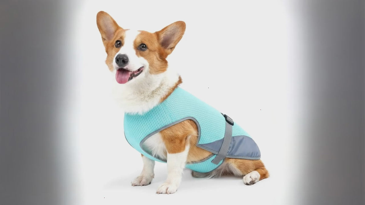 Breathable Dog Cooling Vest – Adjustable Summer Jacket