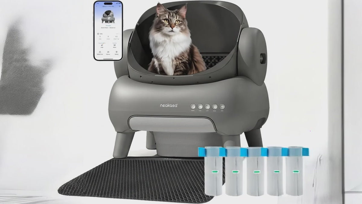 M1 Plus automatisches Katzentoiletten-Bundle – Smarte App, Geruchskontrolle & Mehrkatzen-Unterstützung