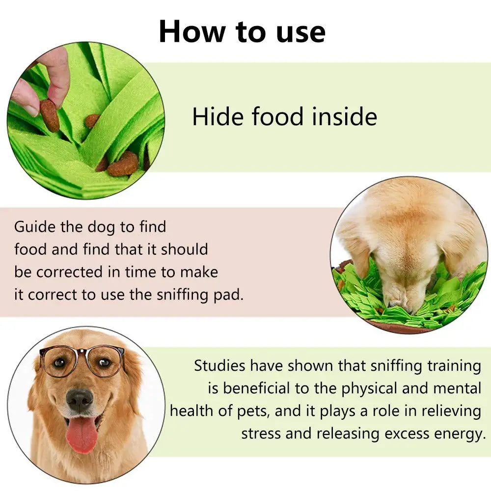 How to use a snuffle mat — hide food and guide your dog to sniff it out | Pawnests
